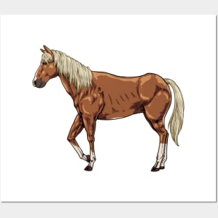 Drawing of a Haflinger Posters and Art